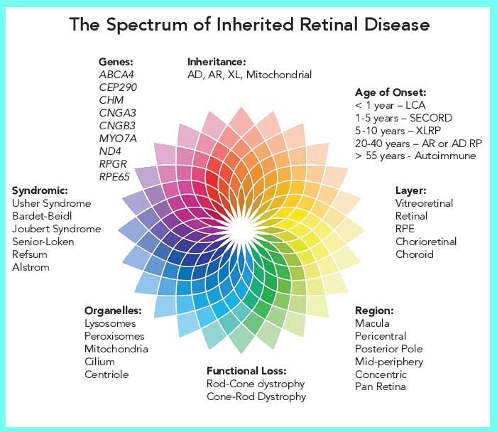 Best Eye Care Hospital in Kolkata - Advanced Retina Services